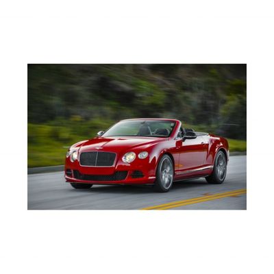 Front Bumper Net 3w3 807 647/648 The Perfect Fit For Your Bentley Continental GT GTC